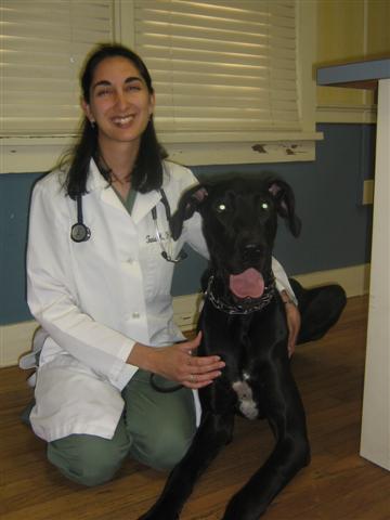 Dr. Flood